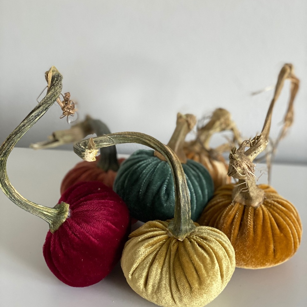 Velvet pumpkins - Picture 5 of 5